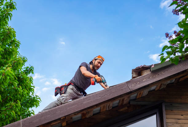 Best Metal Roofing Installation  in Pasadena, TX